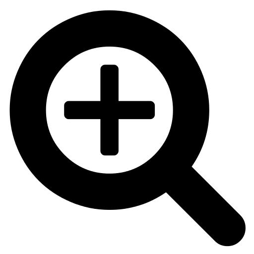 zoom icon