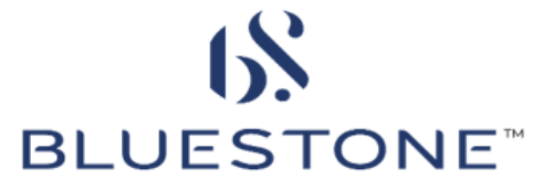 bluestone q4 revenue jumps 48 to 682cr sssg at 34 as ebitda margins ...