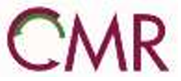 CMR Green Technologies Ltd. IPO: Date, Price Range, Lot Size & Updates