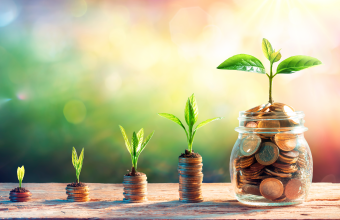 Dividend Stars by Mr. Sanjay Manyal